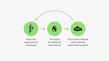 e-NRG Science of Bioethanol Artwork