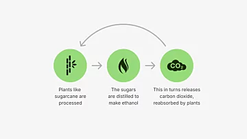 e-NRG Science of Bioethanol Artwork