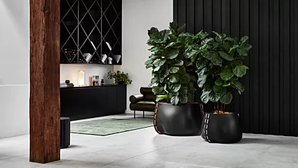 Blinde Design Stitch Series Planter shapes sculptural greenery on a private residence patio, enhancing modern outdoor living.