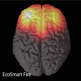 Brainwave Experiment