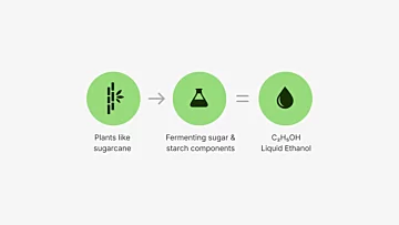 e-NRG Science of Bioethanol Artwork