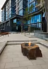 thumbnail: esf-ab8-ethanol-burner-park-hyatt-niseko-hanazono-courtyard.png