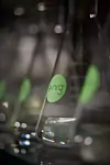 thumbnail: nrg-sid-shoot-ethanol-fermentation-4.png
